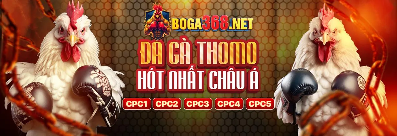 Hình ảnh đá gà trực tuyến F1680 APK